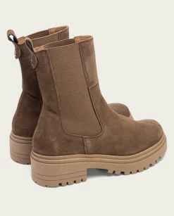 Botines Serraje Moka Con Elasticos Sibila